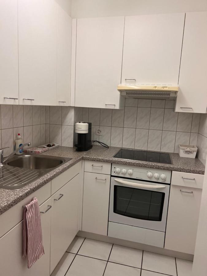 Basel Apartment Self Check In Εξωτερικό φωτογραφία